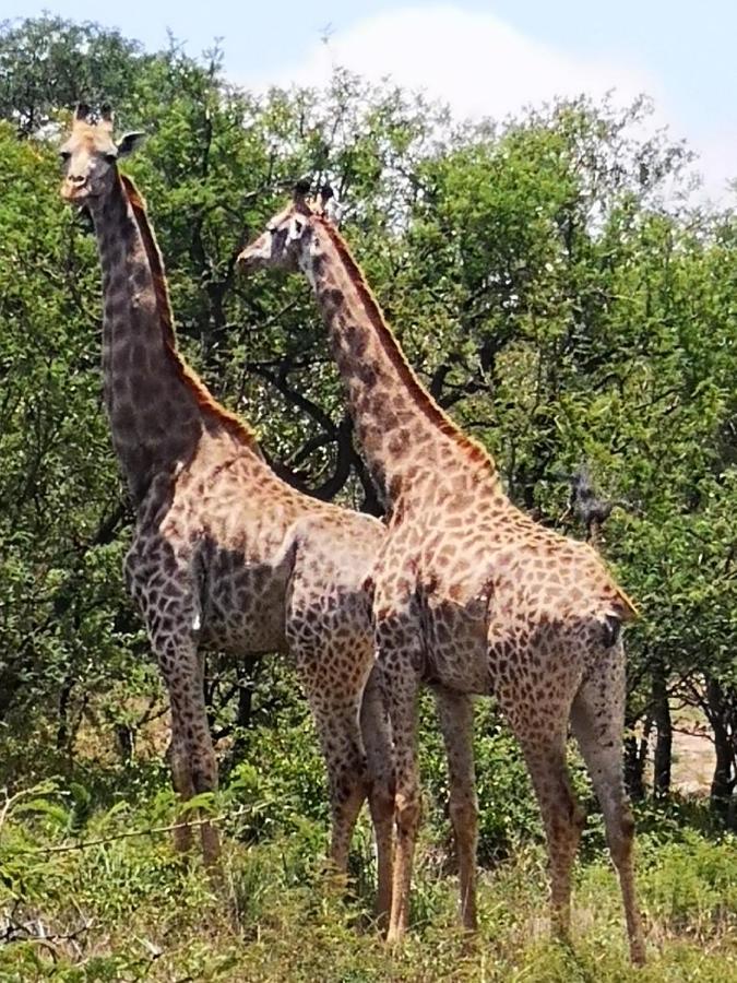 Boulders Safari Lodge Malalane Exterior foto